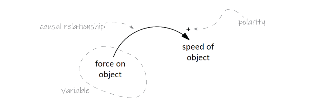 variables, causal relationships, and polarity in a qualitative system dynamics model diagram