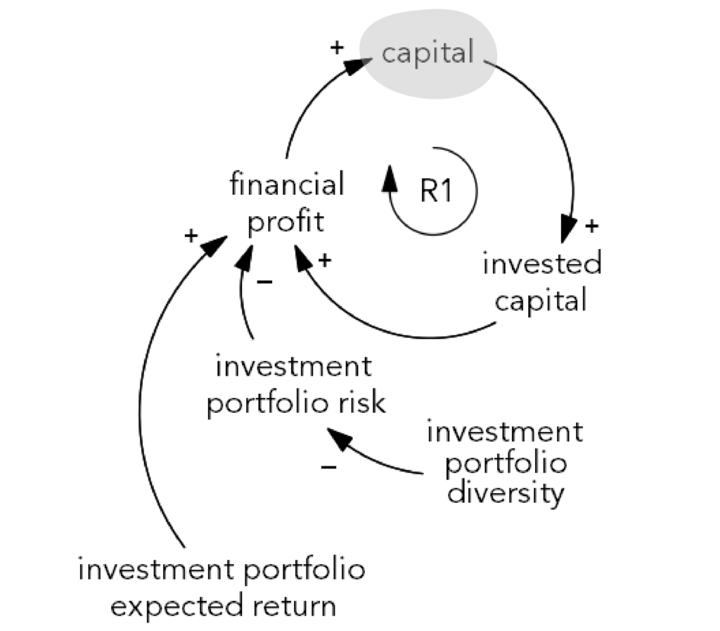 Diagram showing how financial profits are driven by maximizing returns and minimizing risks, with the ultimate purpose of capital accumulation.